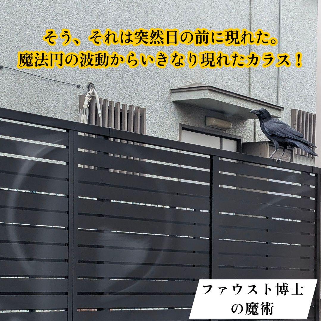 【ご予約品】ファウスト博士の精霊召喚魔術書 ✚魔術的力、霊的な力を引き寄せる護符