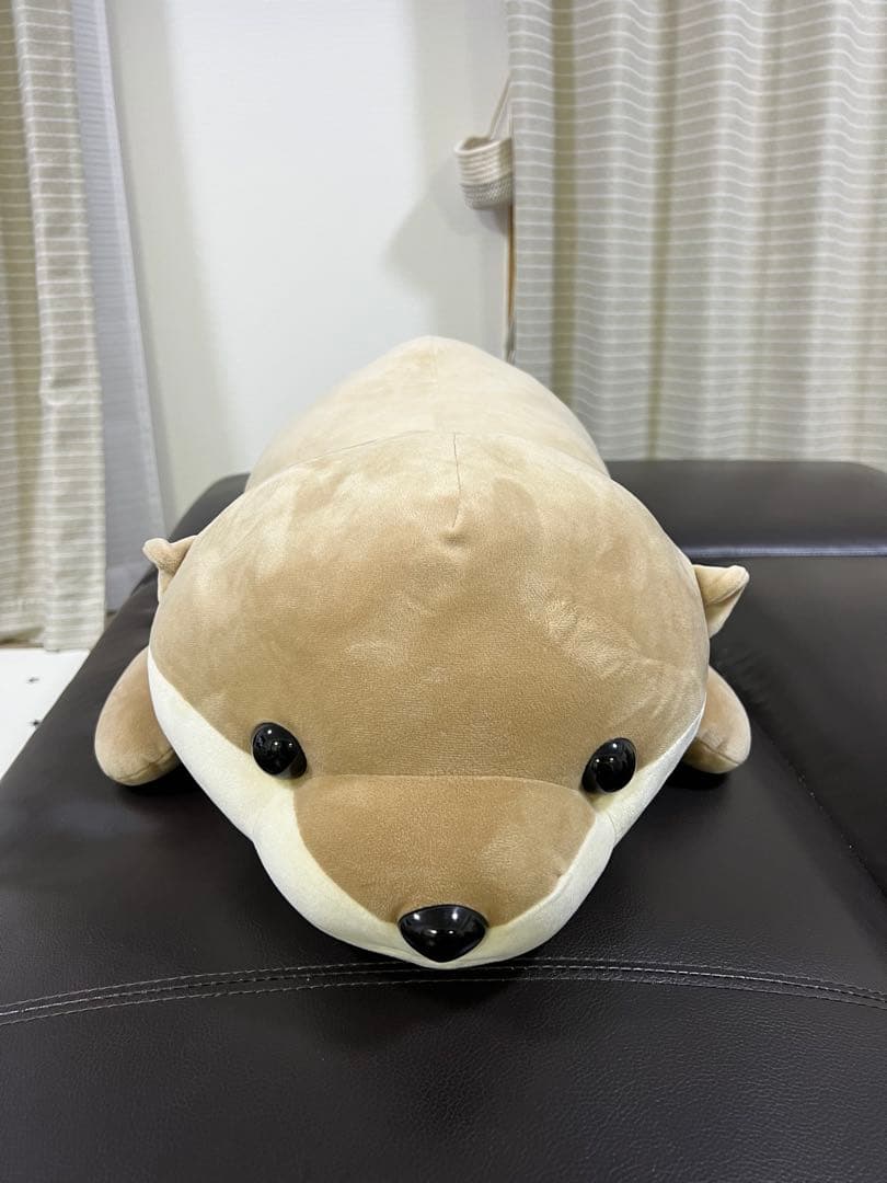カワウソ　ぬいぐるみ　ハッピーマリン　特賞　新江ノ島水族館