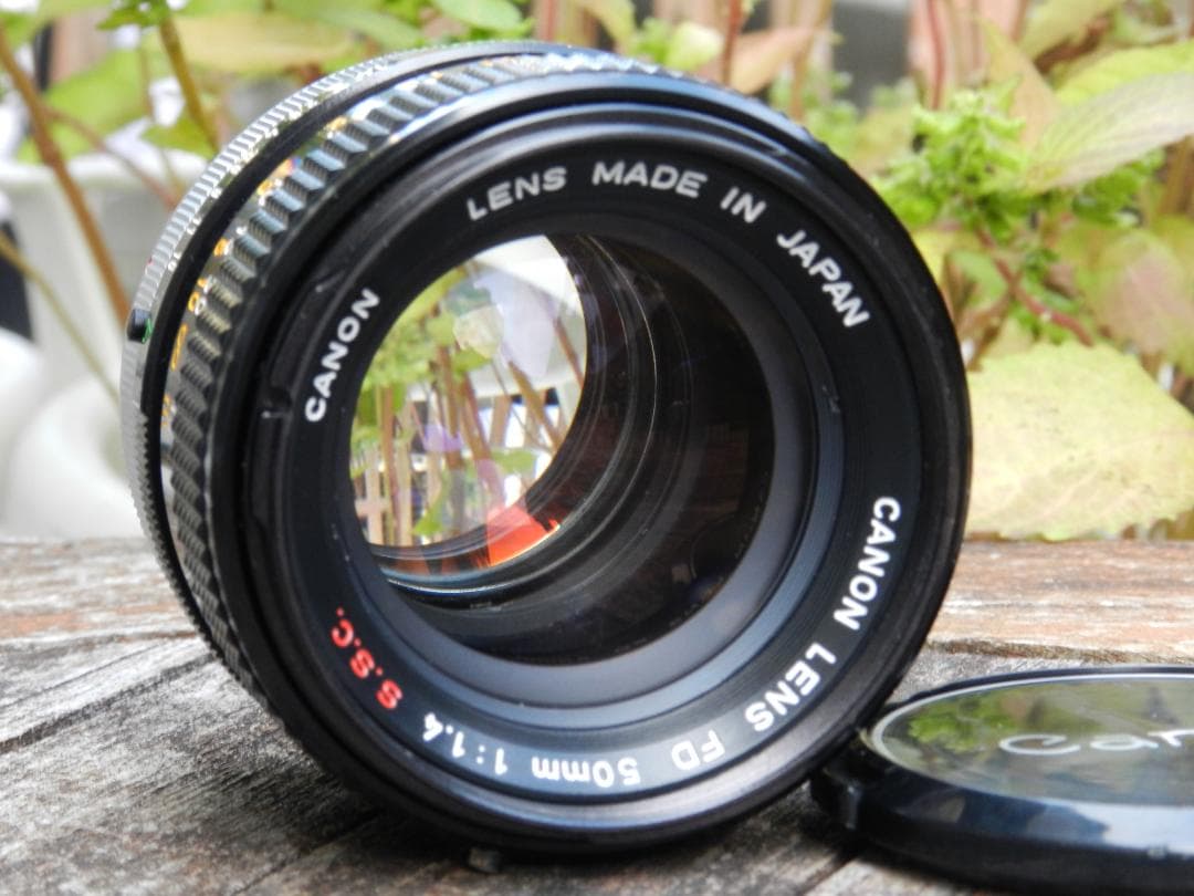 美品　Canon F-1+50mm 1.4 ssc S.S.C 即撮影可