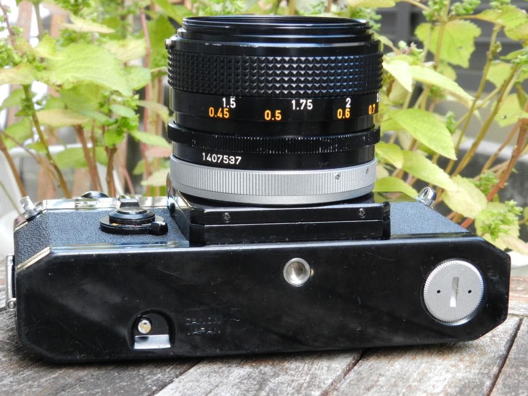 美品　Canon F-1+50mm 1.4 ssc S.S.C 即撮影可