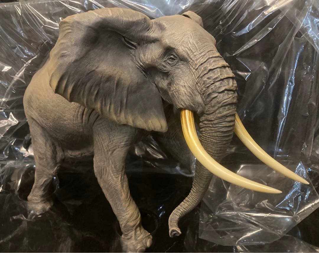 【初期カラー】アフリカゾウ ビッグフィギュア ◆ メガソフビアドバンス