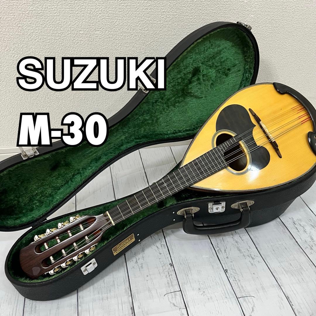 SUZUKI M-30 マンドリン 本体 ハードケース 弦 ピック付き！
