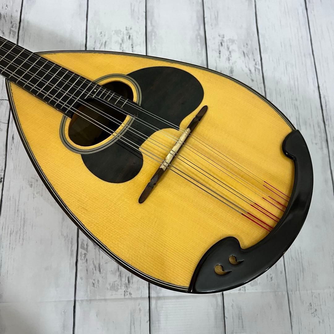 SUZUKI M-30 マンドリン 本体 ハードケース 弦 ピック付き！