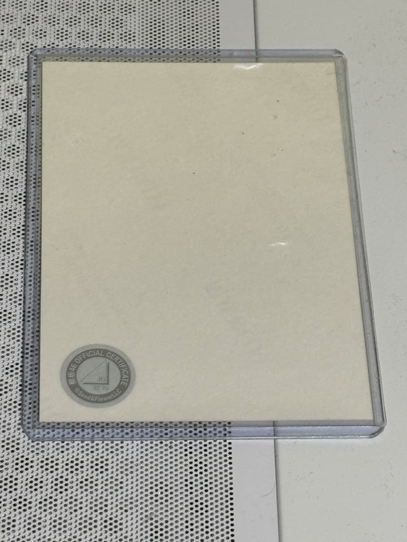 向井純葉　直筆サイン　三期生ブックレット衣装　ヒキ座り