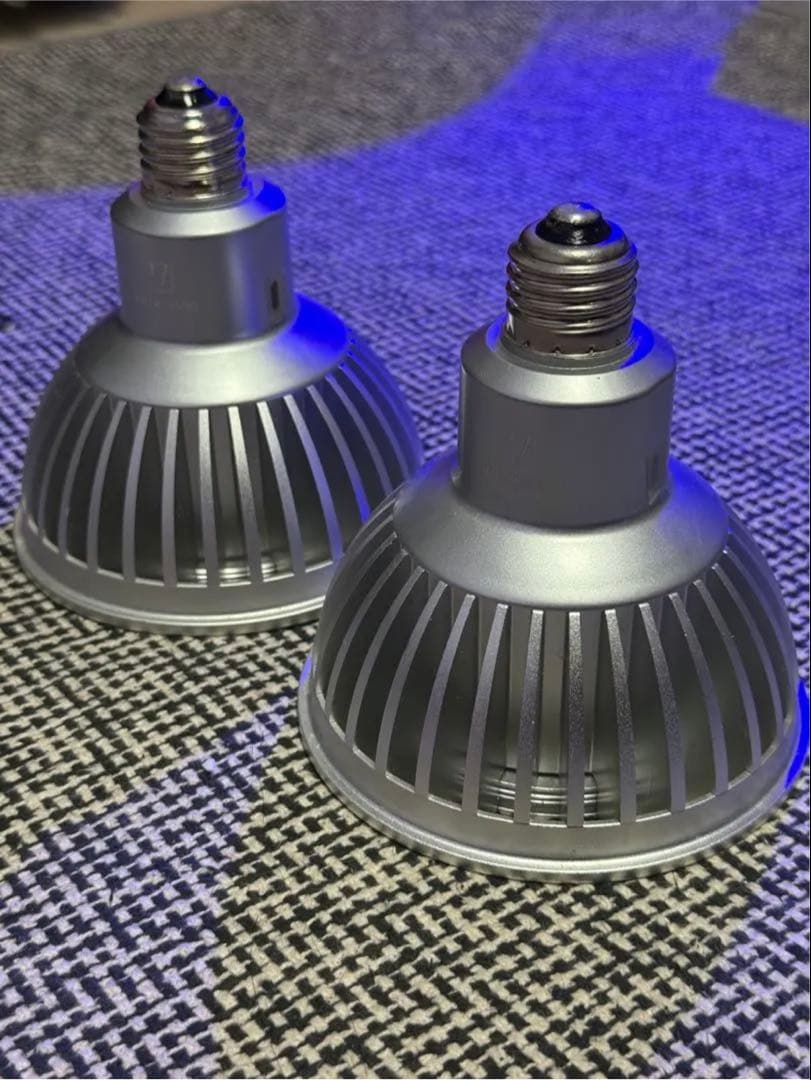 値下げ⭕️Grassy LeDio RX122s Reef スタンドセット