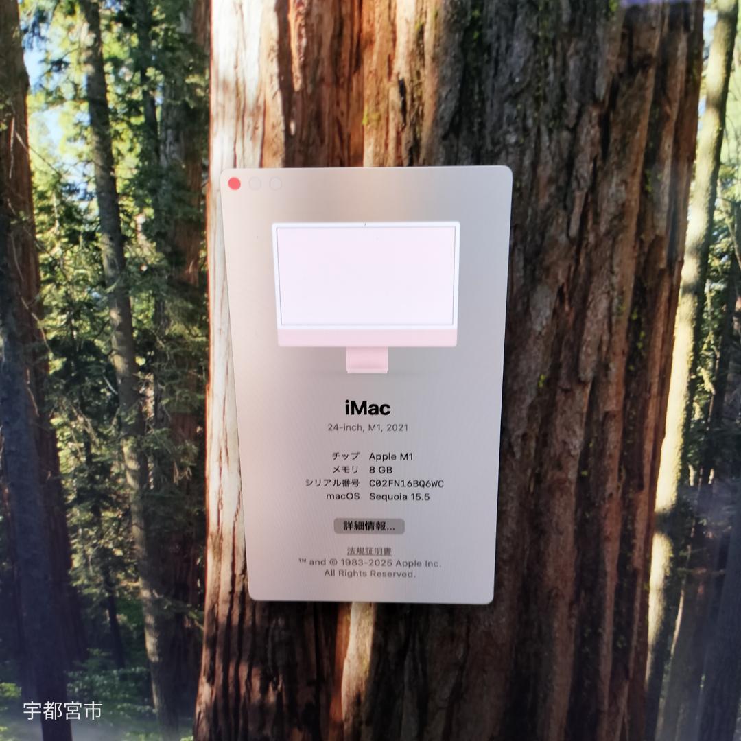 iMac 24インチ M1 8GB 512GB ピンク 2021年モデル