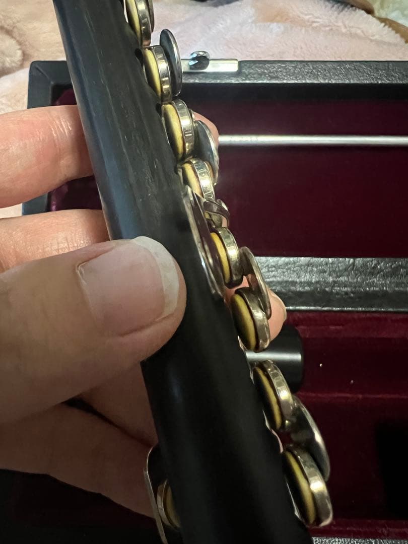 タケザワ　ピッコロ　205 EVR