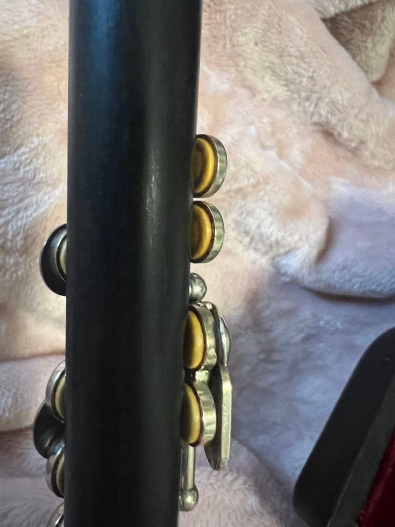 タケザワ　ピッコロ　205 EVR