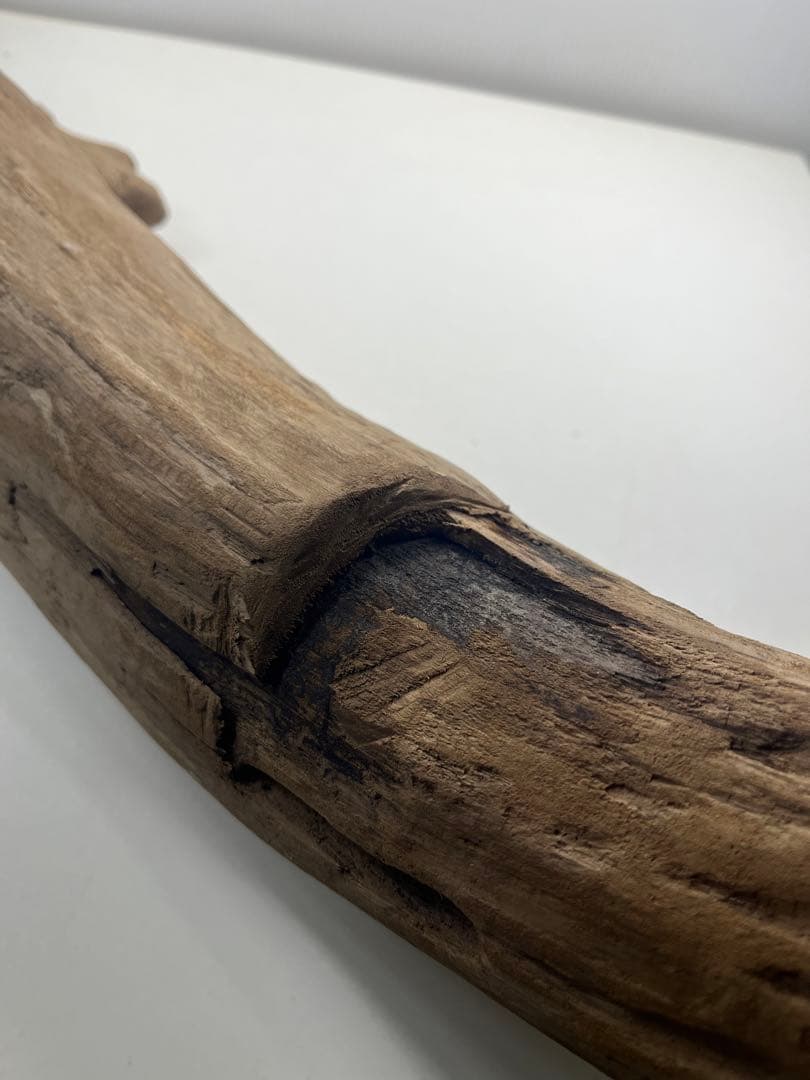 W27特大流木 アク抜き済み流木 爬虫類シェルター 登り木 インテリア 生け花