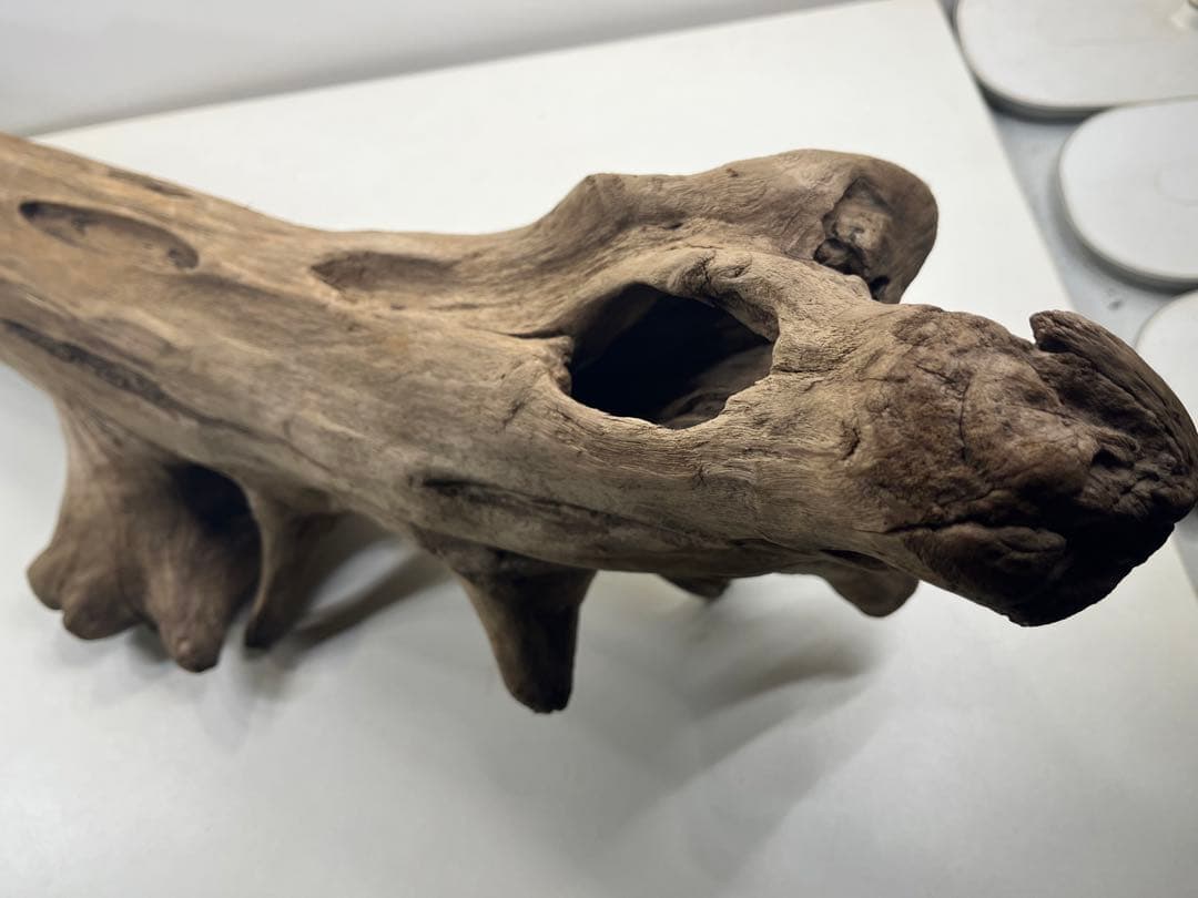 W27特大流木 アク抜き済み流木 爬虫類シェルター 登り木 インテリア 生け花