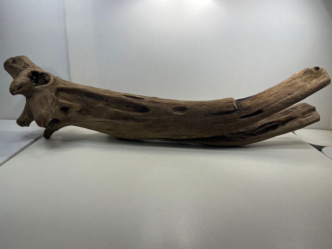 W27特大流木 アク抜き済み流木 爬虫類シェルター 登り木 インテリア 生け花