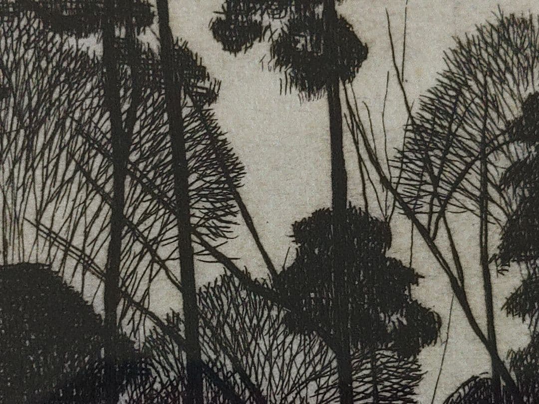 版画？　林の風景　作者S.Okamoto　サイン有り　繊細な樹木　額入り