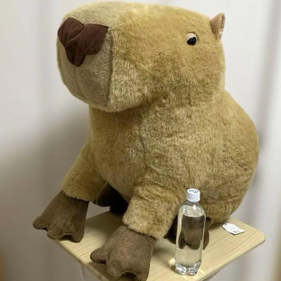 超大型　実物サイズ　カピパラ　ぬいぐるみ