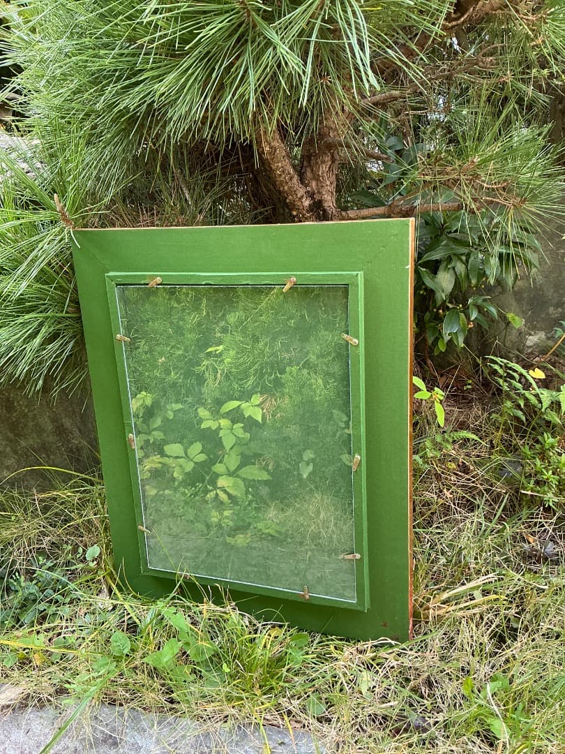 【新品訳あり】ゴールドリブデザイン油彩額縁