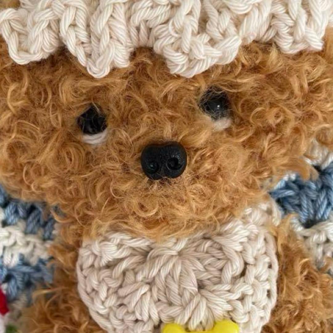 うちの子セーター