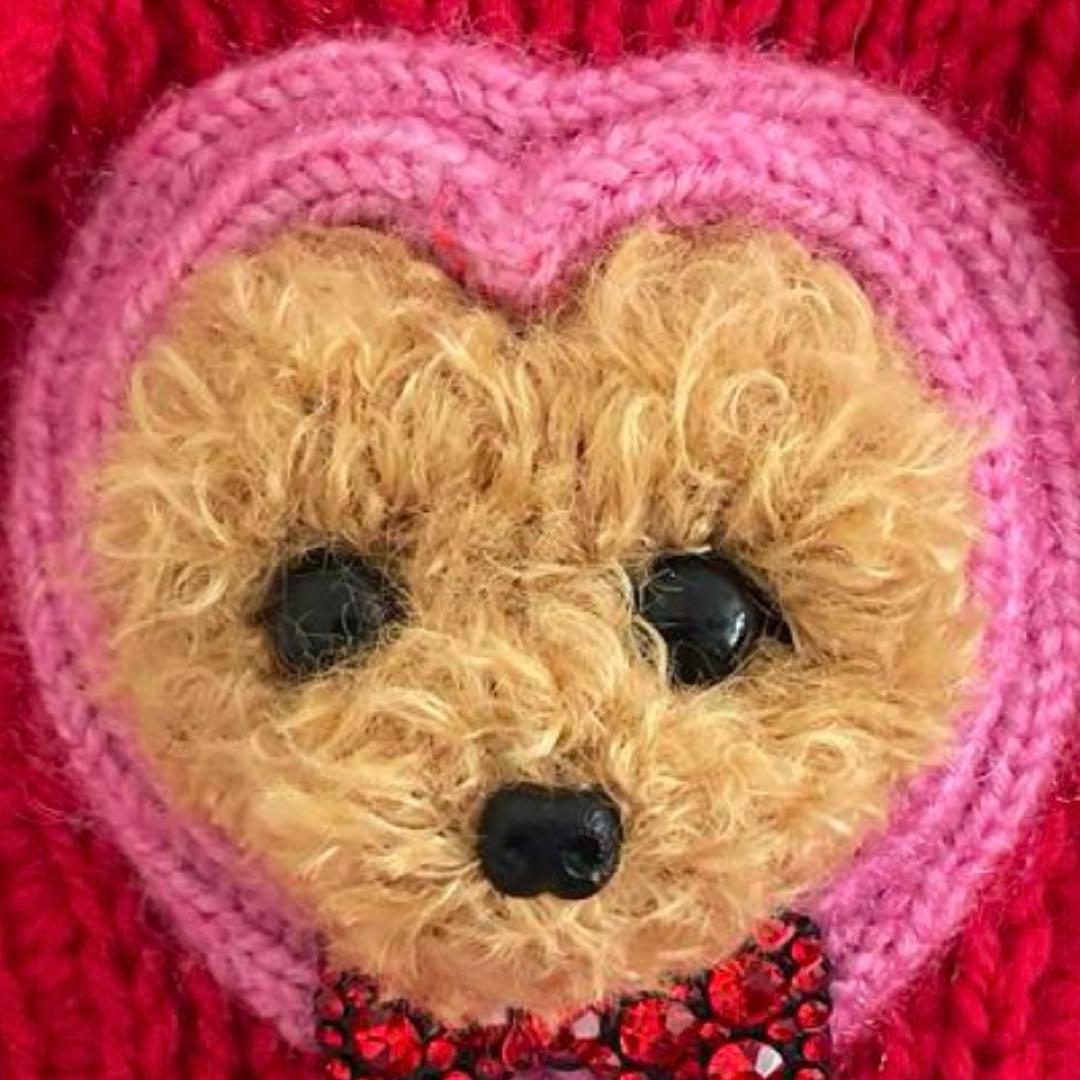 うちの子セーター