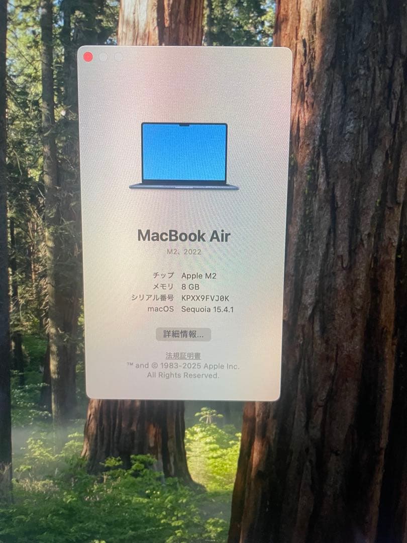 【バッテリー100%】MacBookAir M2 8GB 256GB 2022