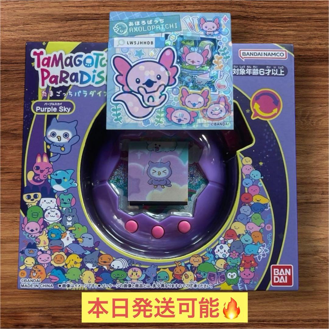 「本日限定価格」たまごっちパラダイス パープルスカイ