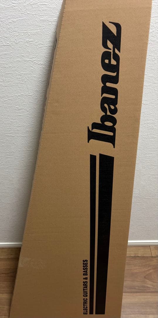 ギター Ibanez RG421EX