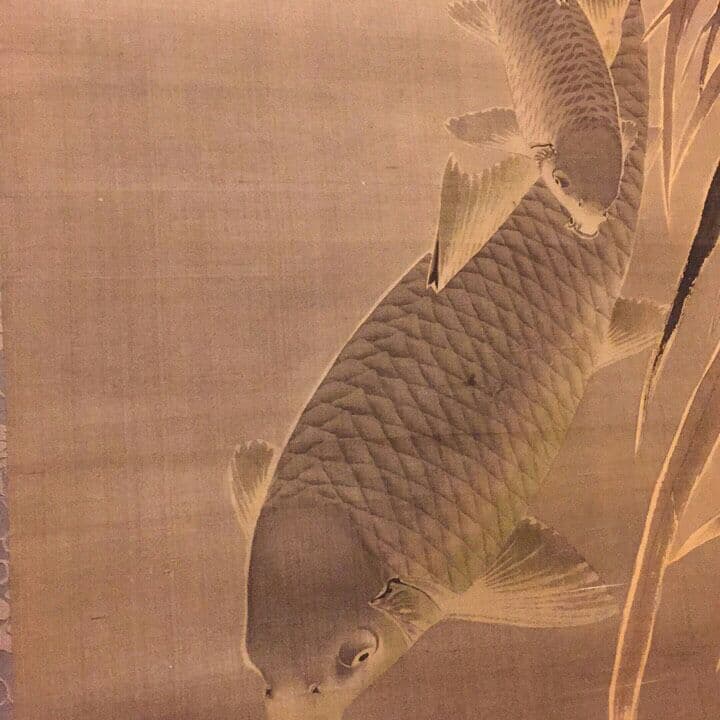 【真作】「名品」 鳥取藩 黒田稲皐(遊鯉の図)掛け軸【識箱】