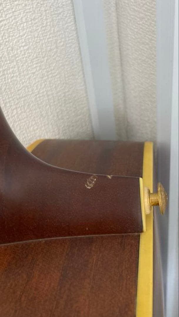 【E】Ibanez Art Wood RLGツリーオブライフインレイ ケース付き