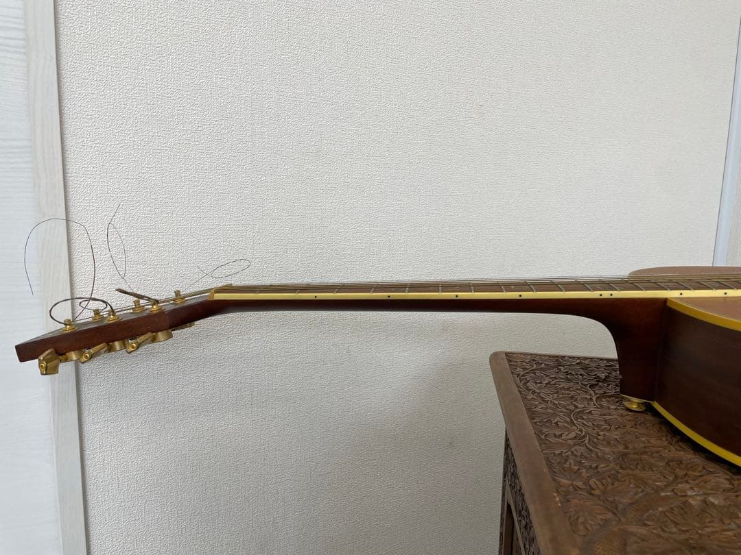 【E】Ibanez Art Wood RLGツリーオブライフインレイ ケース付き