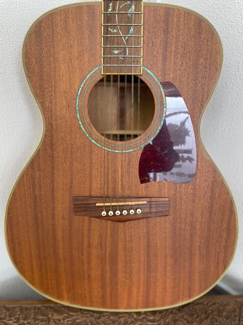 【E】Ibanez Art Wood RLGツリーオブライフインレイ ケース付き