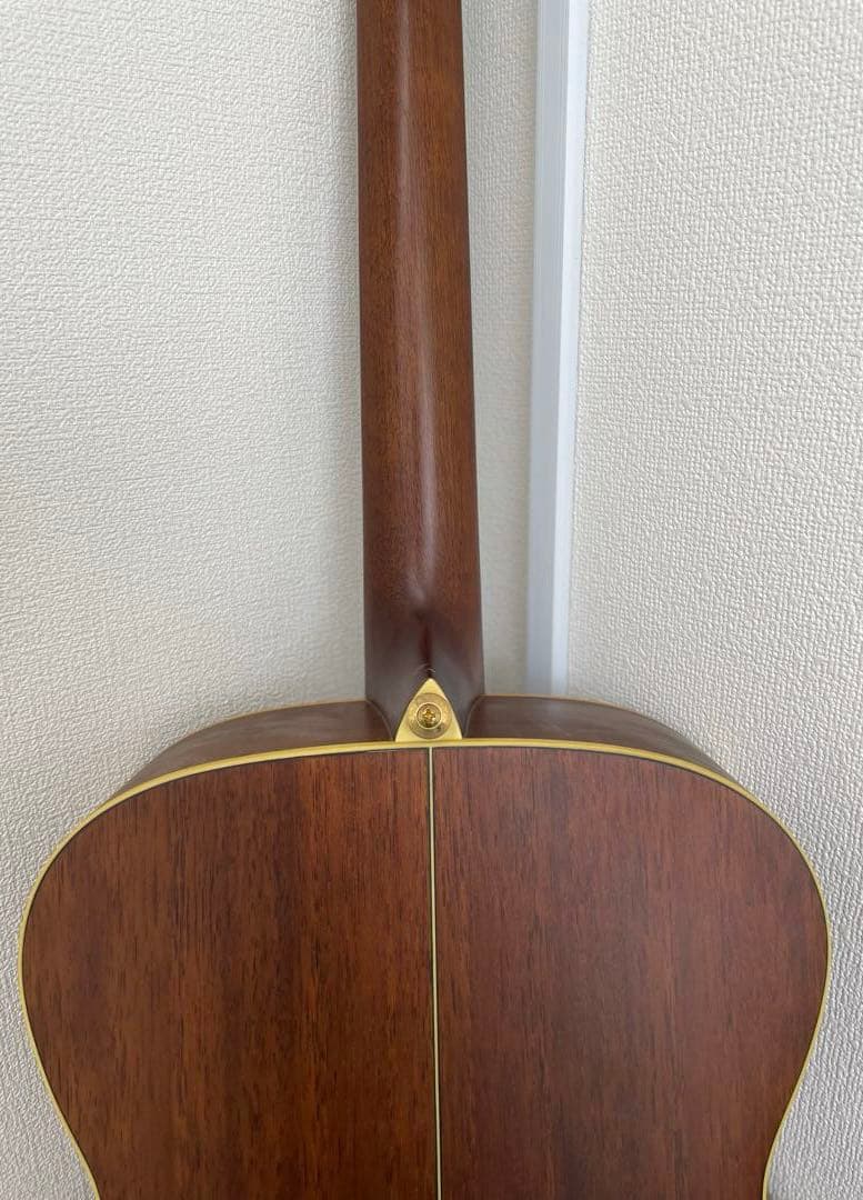 【E】Ibanez Art Wood RLGツリーオブライフインレイ ケース付き