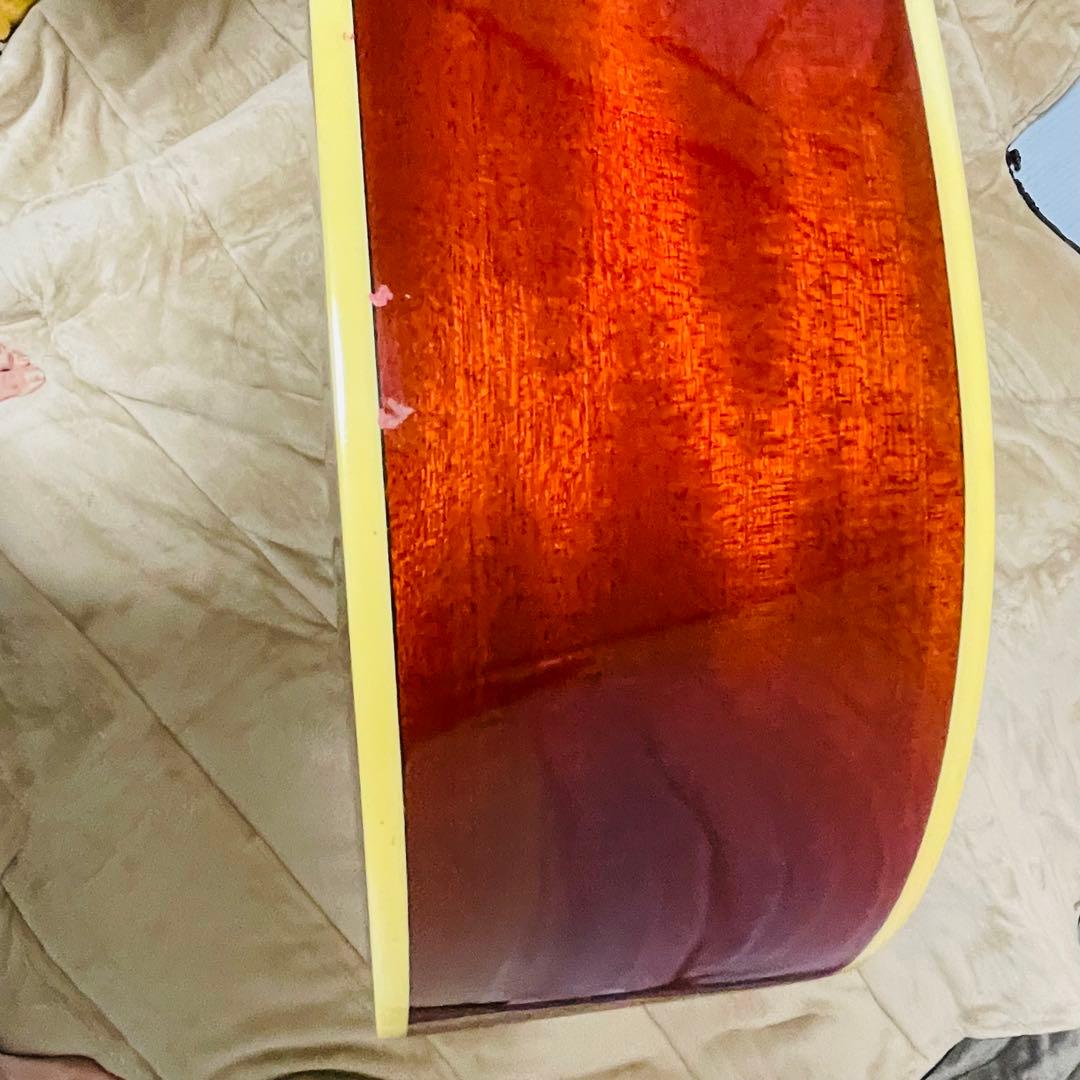 Ibanez アコースティックギター AC38-HS ツリーオブライフ