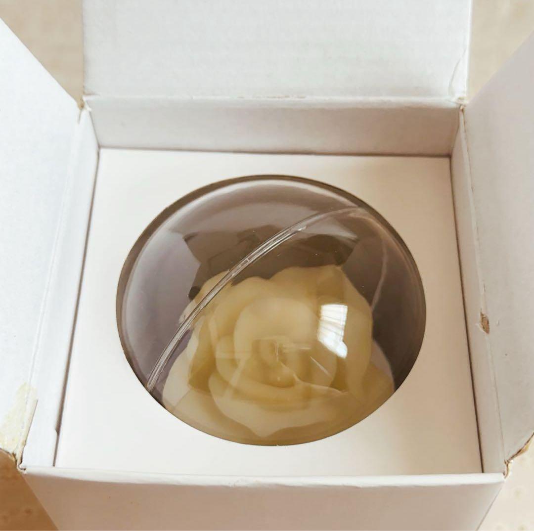 Ado 喜劇 ローズペンライト カムパネルラ