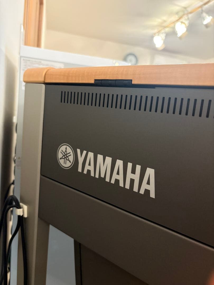 YAMAHA STAGEAカスタム　ELS-01CH 2012年バイタライズ済