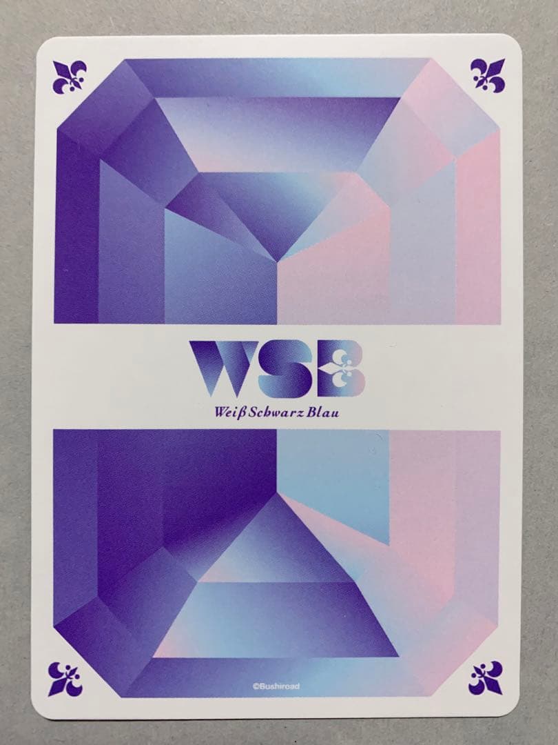 ZINGAI  Eve - 幻夢  SSP  ヴァイスシュヴァルツブラウ　WSB