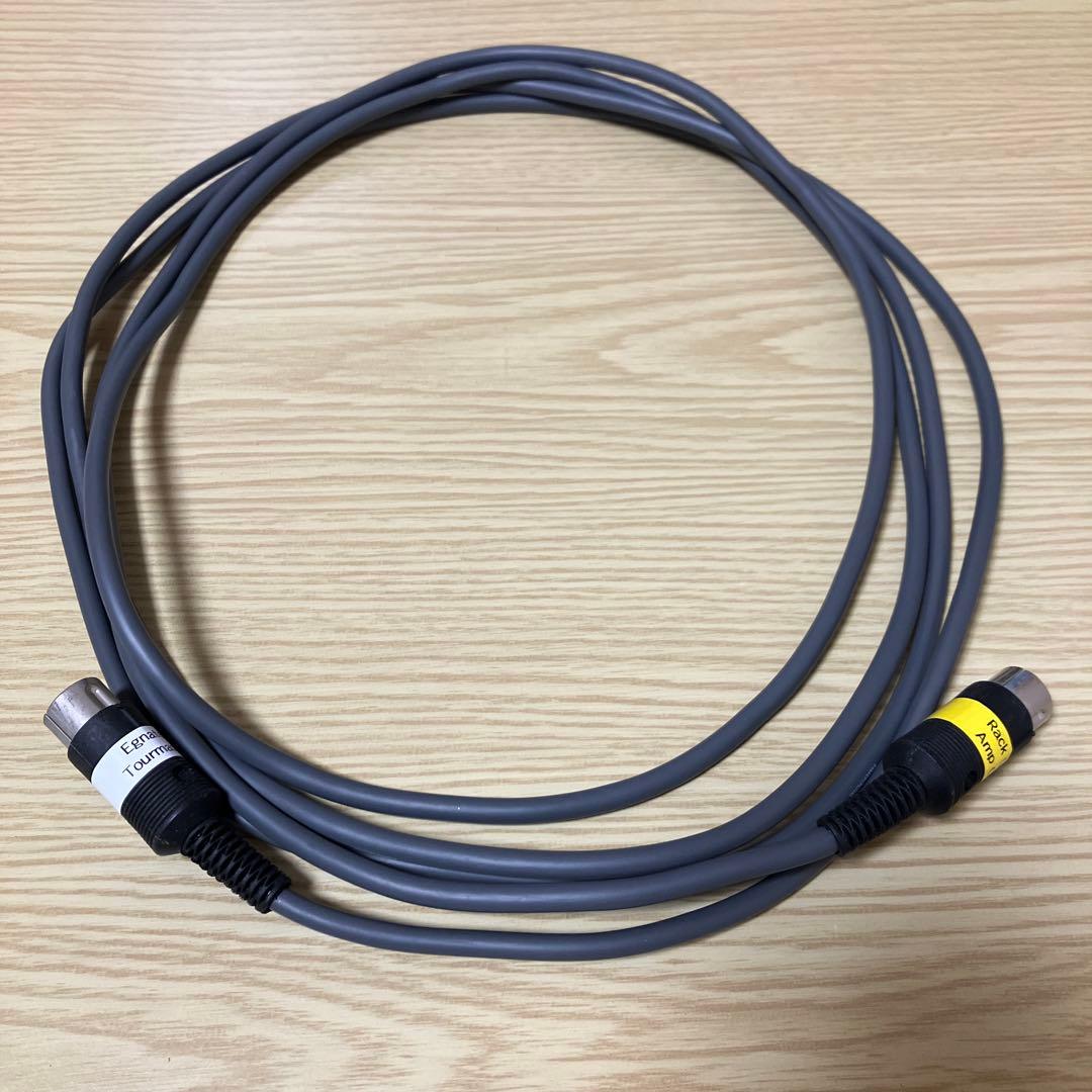 RJM AmpGizmo用のEgmater Tourmasterケーブル中古品