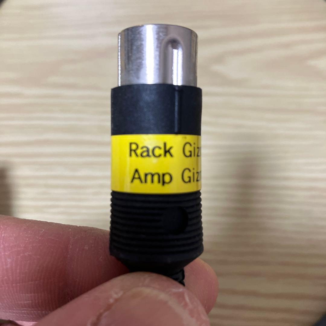 RJM AmpGizmo用のEgmater Tourmasterケーブル中古品