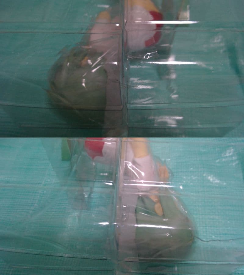 近日終了 岩崎みなみ 体操服ver. らき☆すた FREEing フリーイング