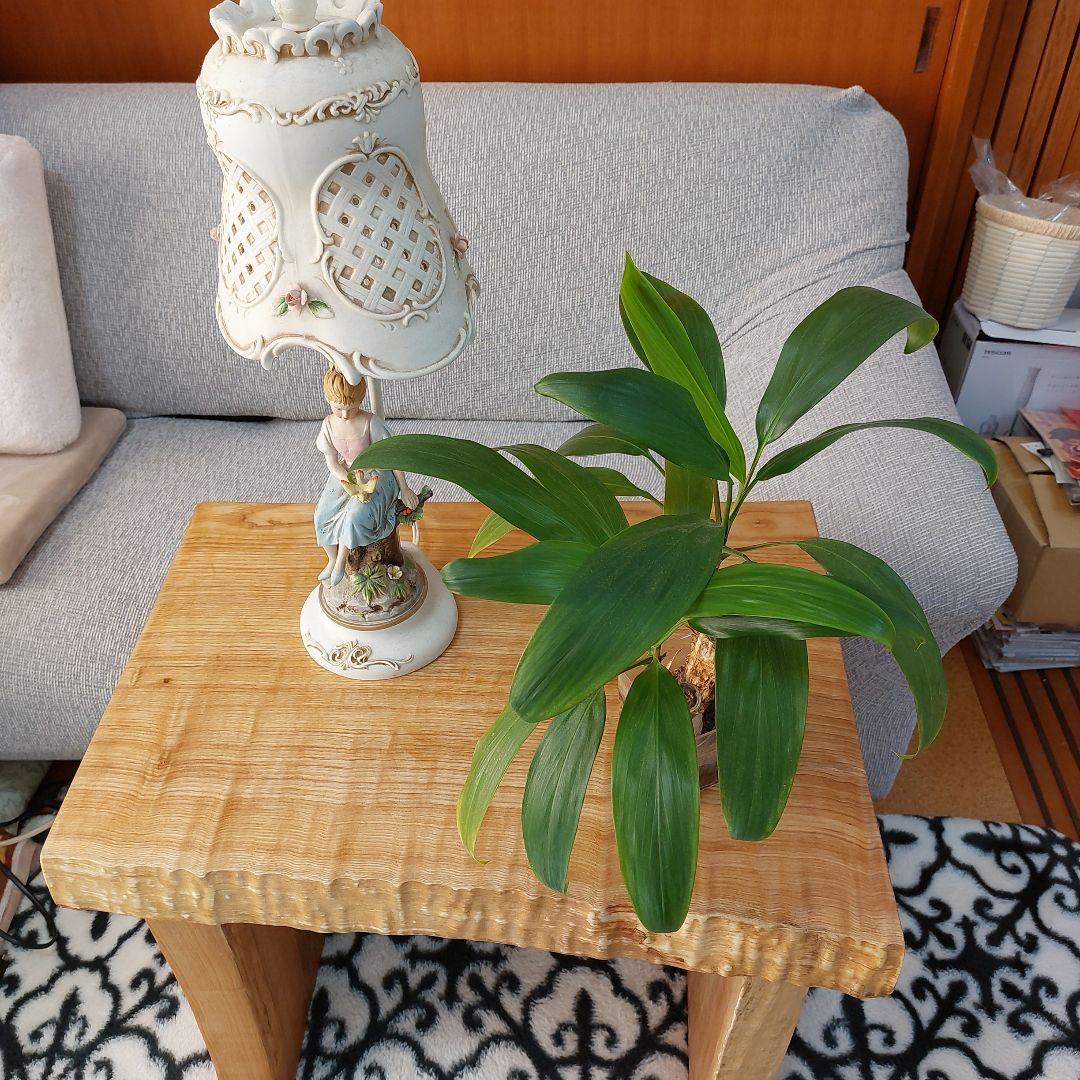 【樫木無垢材】ハンドメイドサイドテーブルorPCデスク