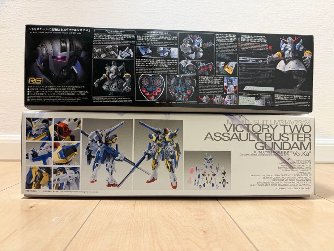 限〜1/17ガンプラ2体セット