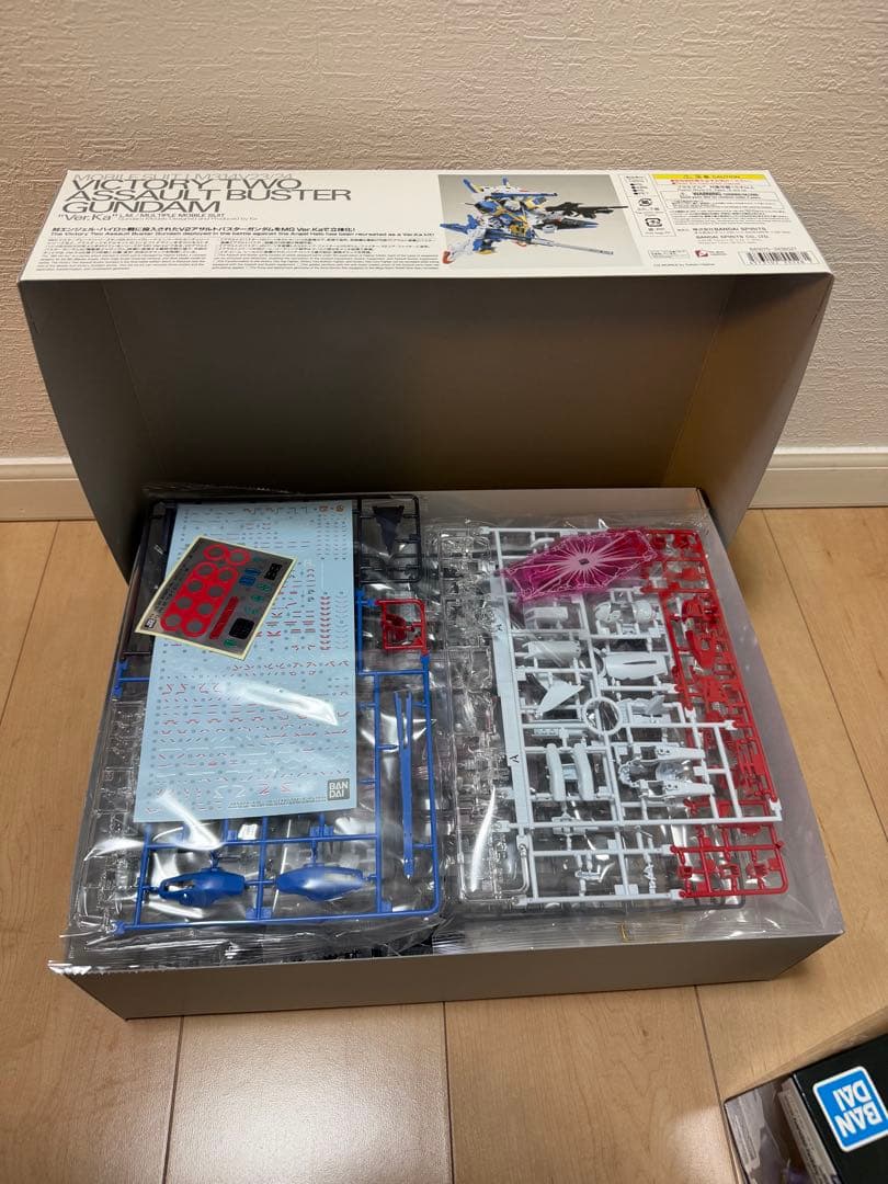 限〜1/17ガンプラ2体セット