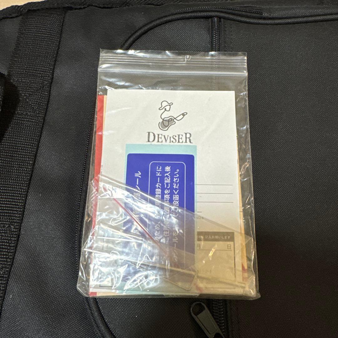 Bacchus テレキャスター 改造 Rio Grande搭載 時雨TK系