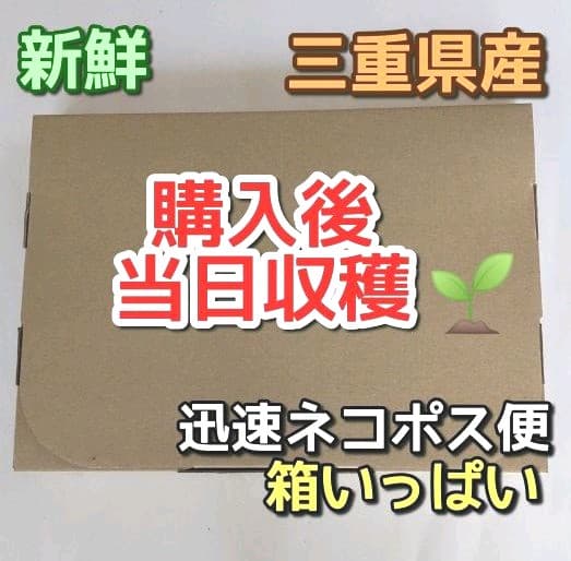 生葉/野草 ●セミオーダーページ● ウサギ ハムスター リクガメ モルモット 他