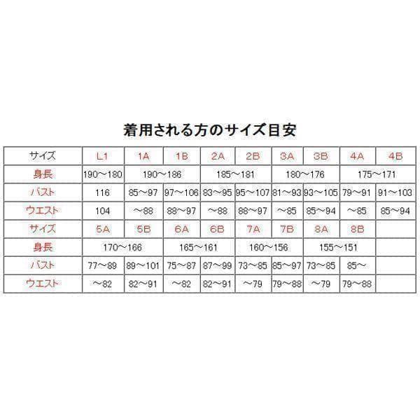 夏３B 陸上自衛隊 リップストップ 迷彩服　　陸自 コンバットシャツの元に