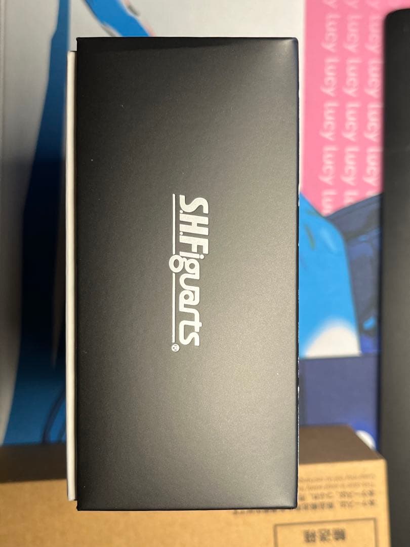 真骨彫製法 仮面ライダー1号/本郷猛 仮面ライダーTHE NEXT