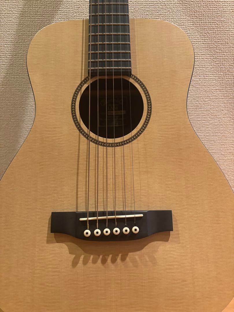 Martin & Co. アコースティックギター ギターケース付き