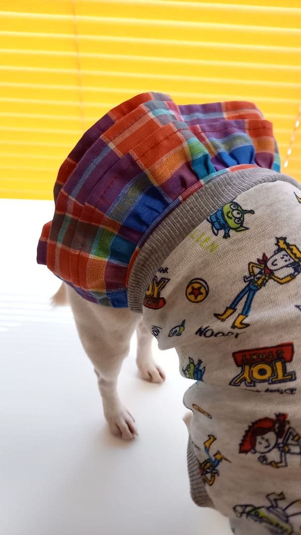 犬のスカートのみ　500円