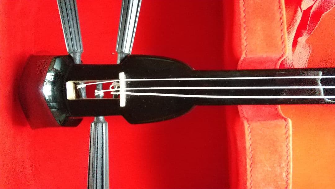 12/21値下げ 沖縄三線 ハードケース 人工皮？ 蛇柄 三味線