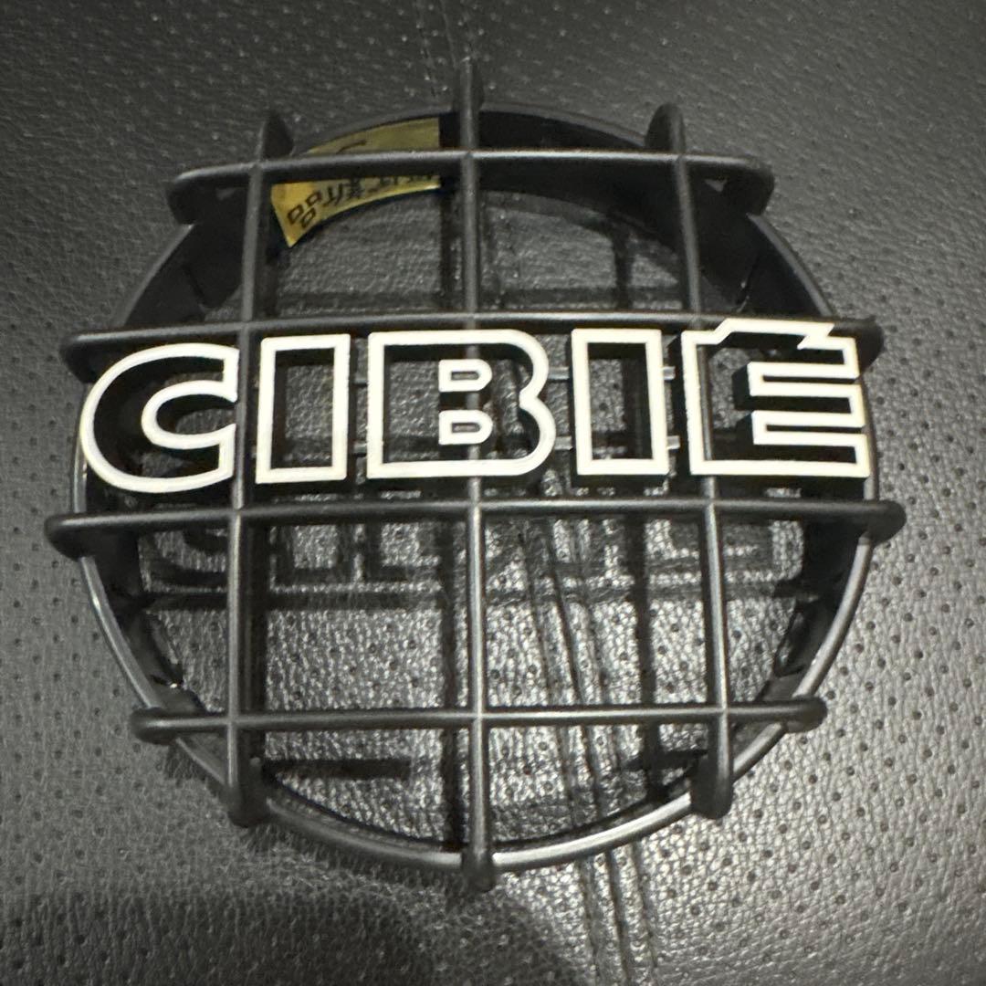 最終値下げ　シビエ ストーンガード