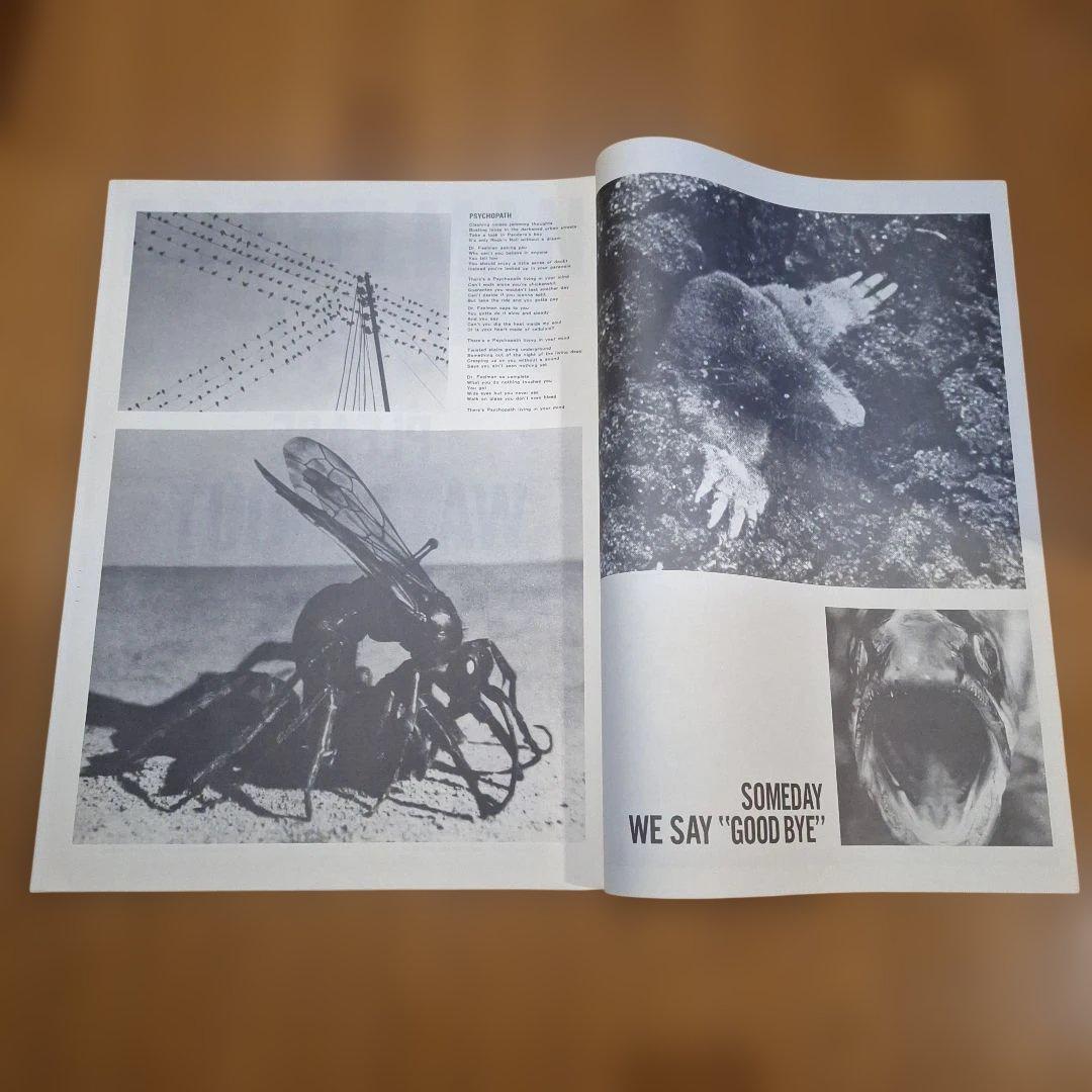 BOOWY コンサート ツアー パンフレット＆ポスターセット