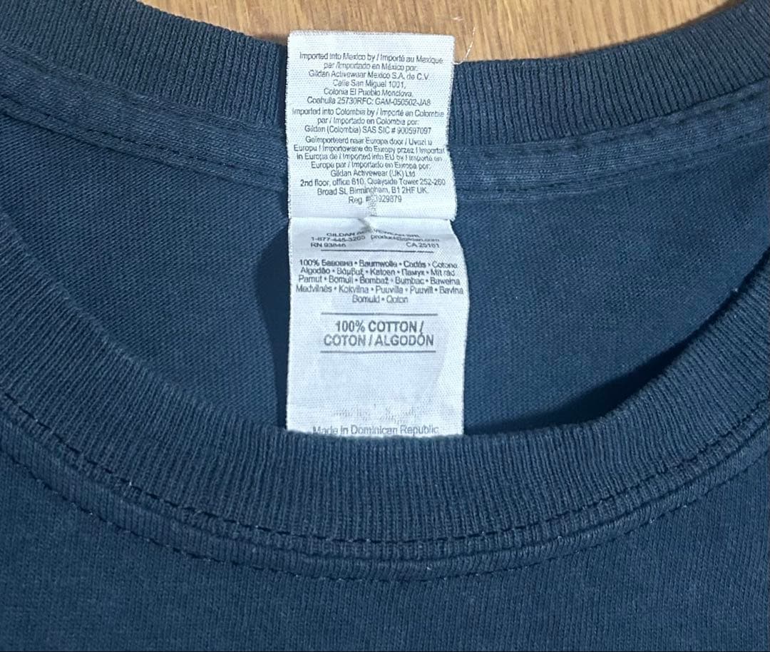 ✴︎The BONEZ Damaged Skull Tee Tシャツ L