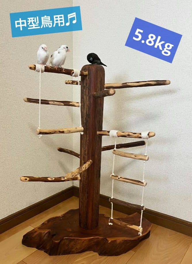 【中型鳥】ブランコ＆はしご付バードアスレチック♬