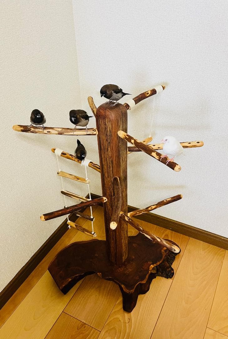 【中型鳥】ブランコ＆はしご付バードアスレチック♬